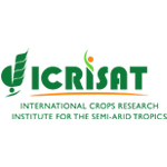 Icrisat Icrisat